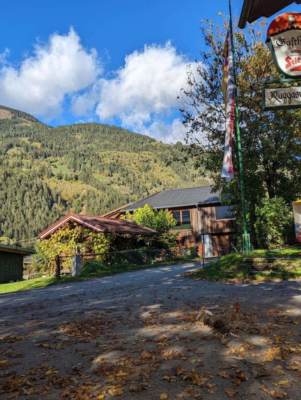 Schmelz Huette Mit Sauna Und Garten Chalet *